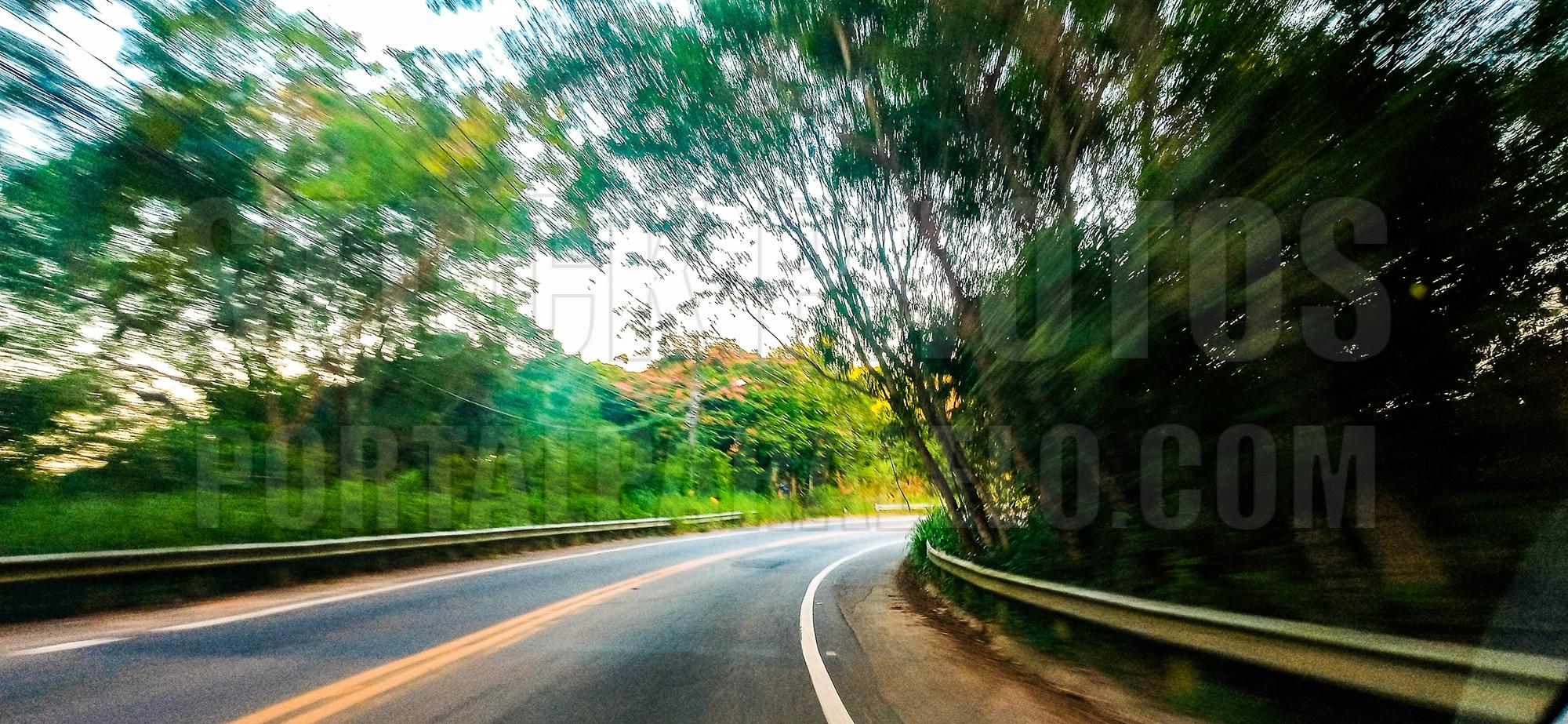 Driving at high speed along the road with many trees and Atlantic forest.