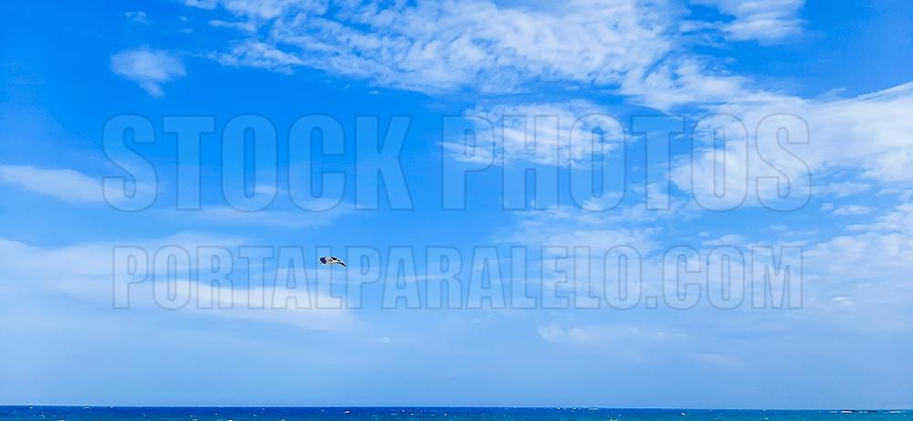 Seagull flying freely among the white clouds in the blue sky above the ocean