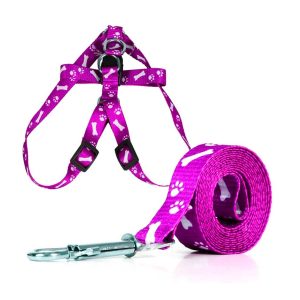 Guia Peitoral Pet Coleira de Cães Pequenos Para Andar Em Passeio